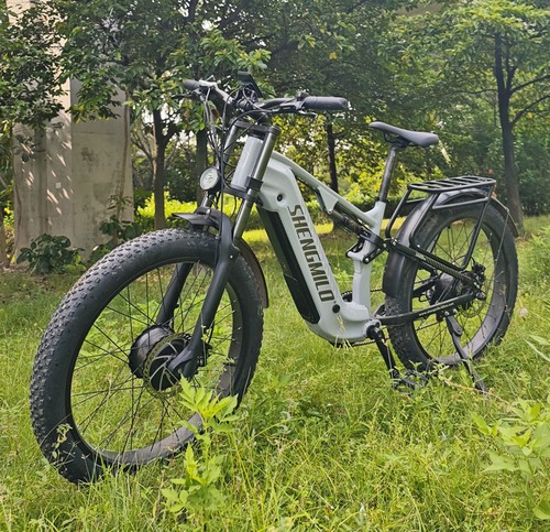 48v 25ah dual motor - 48v, s600pro