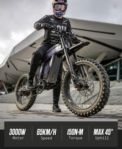 Fat tyre electric bike - tyre,