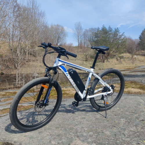 Inch bike 250w - inch, e-bike