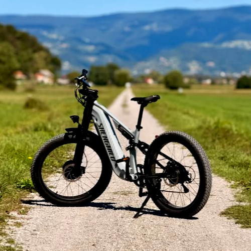 48v 25ah dual - 25ah, e-bike