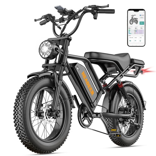 Fat tire bike - fat, 48v20ah