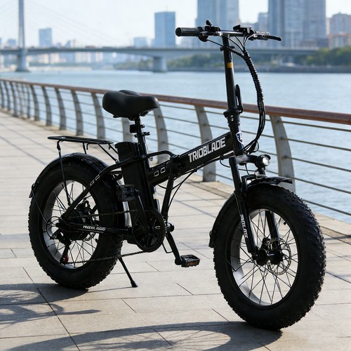 Adults electric bike - bike, 20x4.0