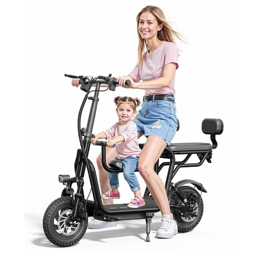 City bike with passenger - e-bike,