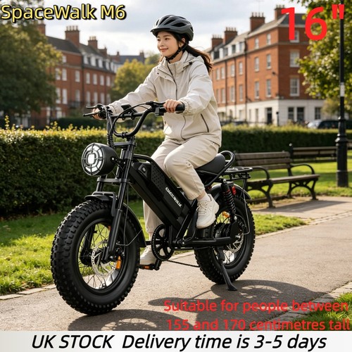 250w electric bike - electric, tire