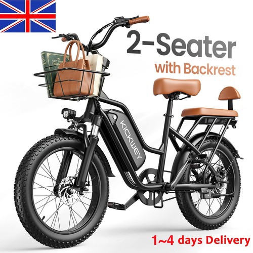 250w seater electric bikes - 2-seater,