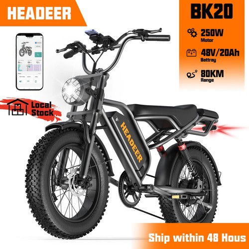 Electric fat tyre bike - electric,