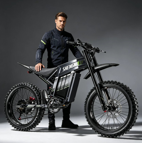 Fattyre electric bike - electric,