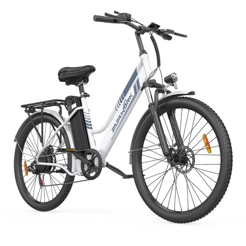 Inch electric bike 250w - inch,