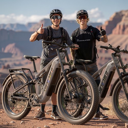 Dual motor electric bike fat - motor,